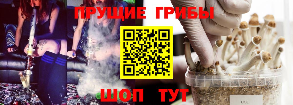 Псилоцибиновые грибы мухоморы  Вход с VPN  Псилоцибиновые грибы ЛСД  Отрадный 